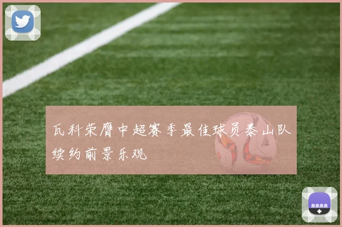 瓦科荣膺中超赛季最佳球员泰山队续约前景乐观