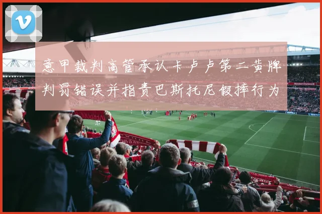 意甲裁判高管承认卡卢卢第二黄牌判罚错误并指责巴斯托尼假摔行为